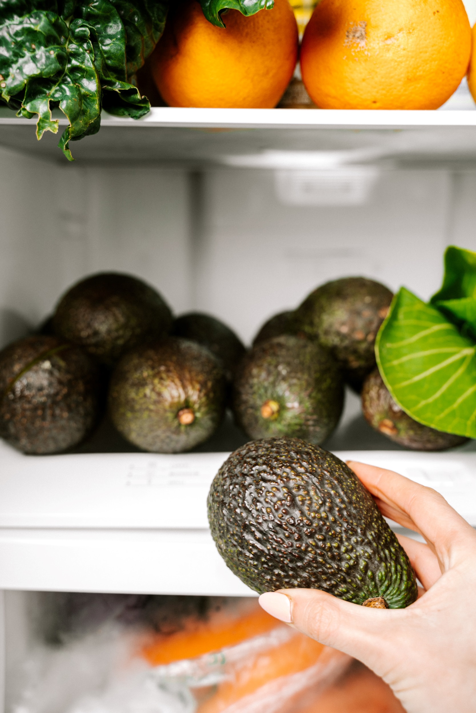 Avocado in fridge